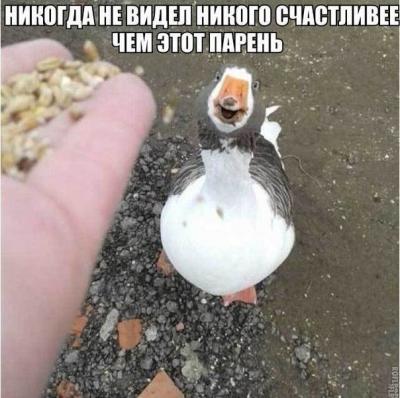 Прикрепленное изображение: z-pCvtl2fVQ.jpg